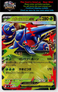 M2: Inferno X #004/080 Mega Heracross ex