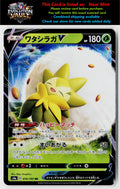 S4a: Shiny Star V #016/190 Eldegoss V