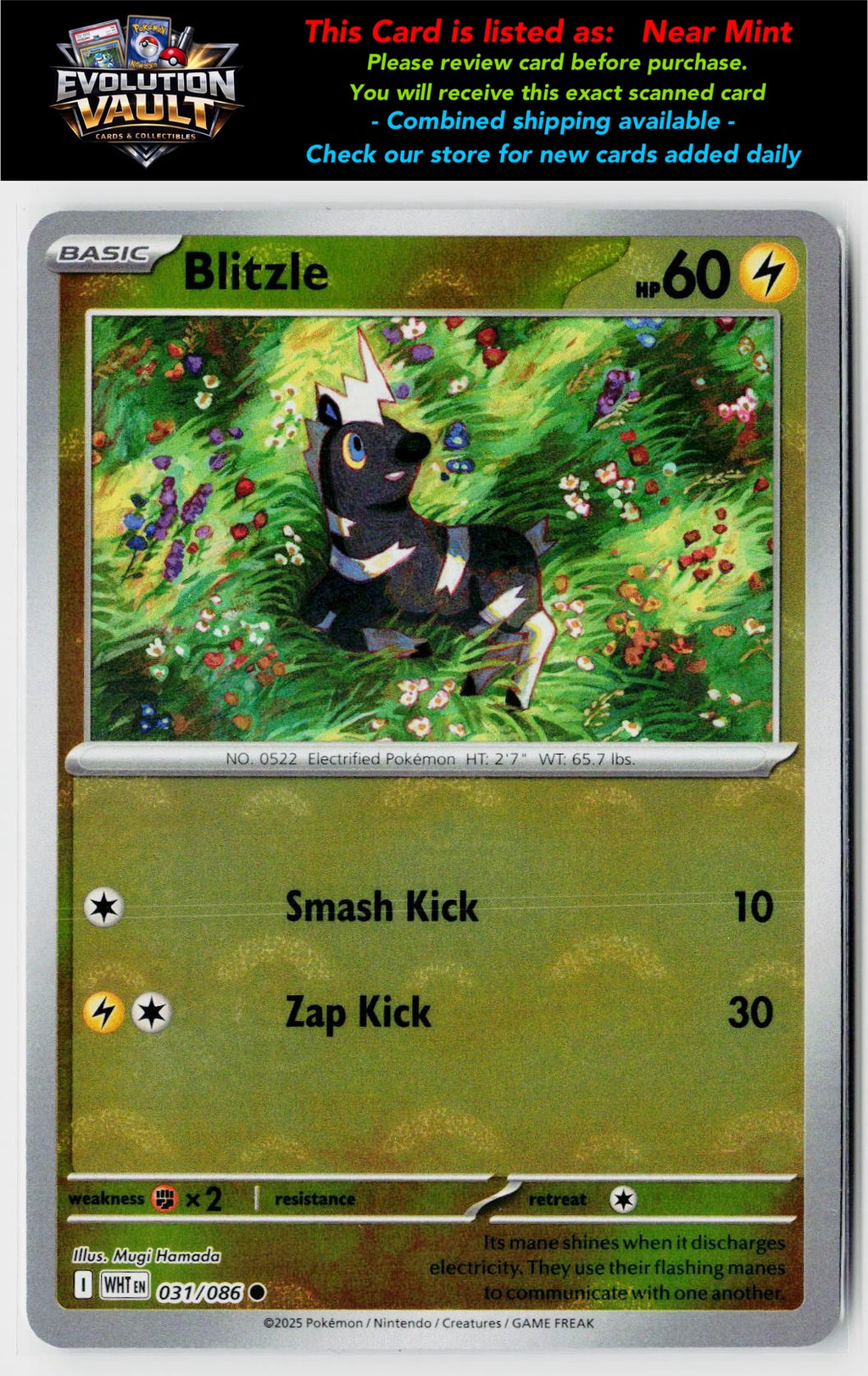 SV: White Flare #031/086 Blitzle (Poke Ball Pattern)