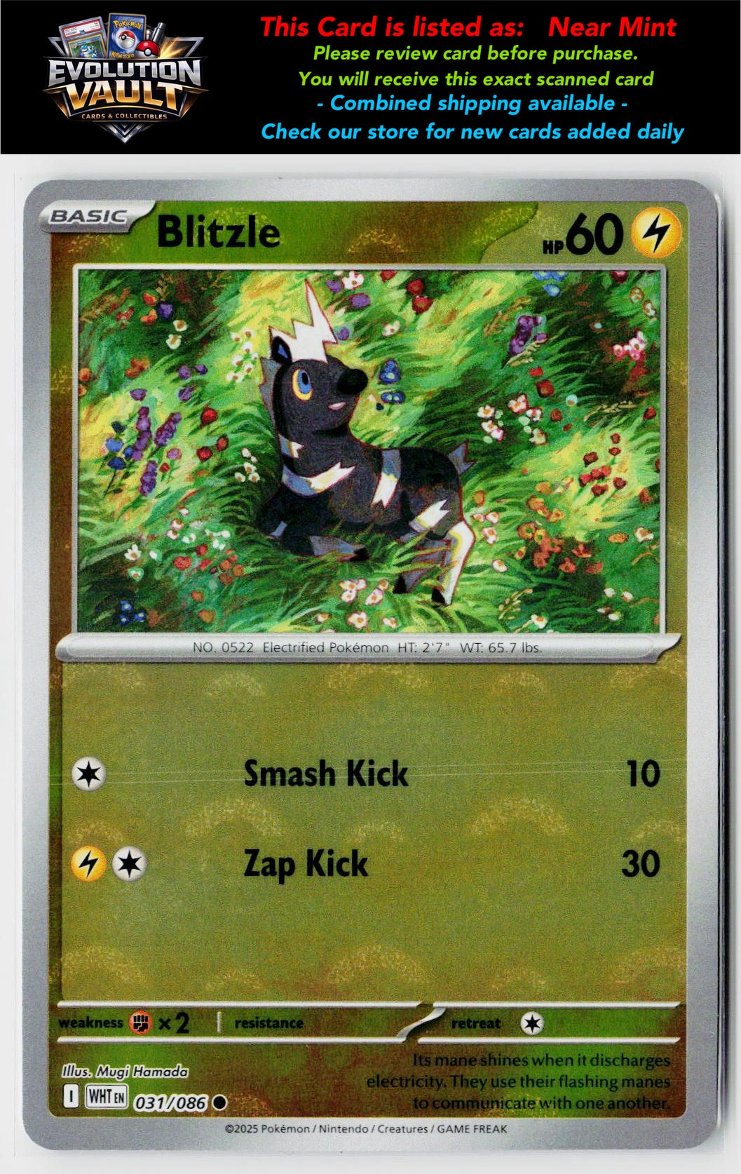 SV: White Flare #031/086 Blitzle (Poke Ball Pattern)