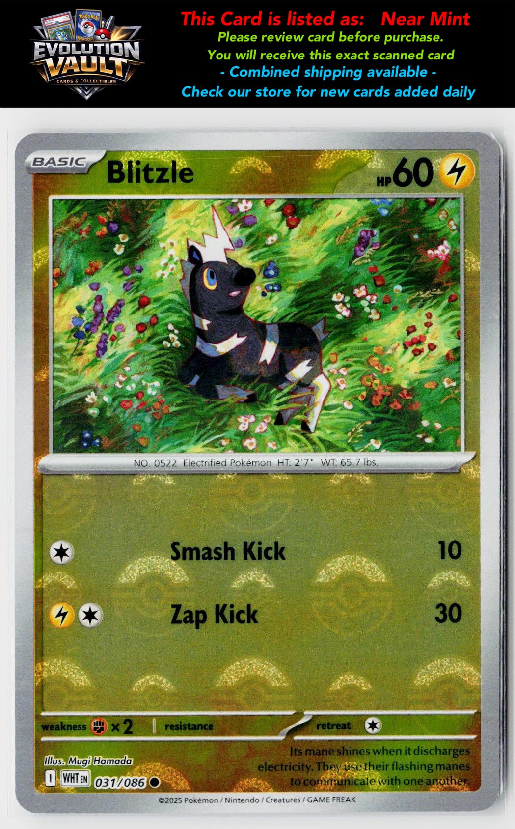 SV: White Flare #031/086 Blitzle (Poke Ball Pattern)