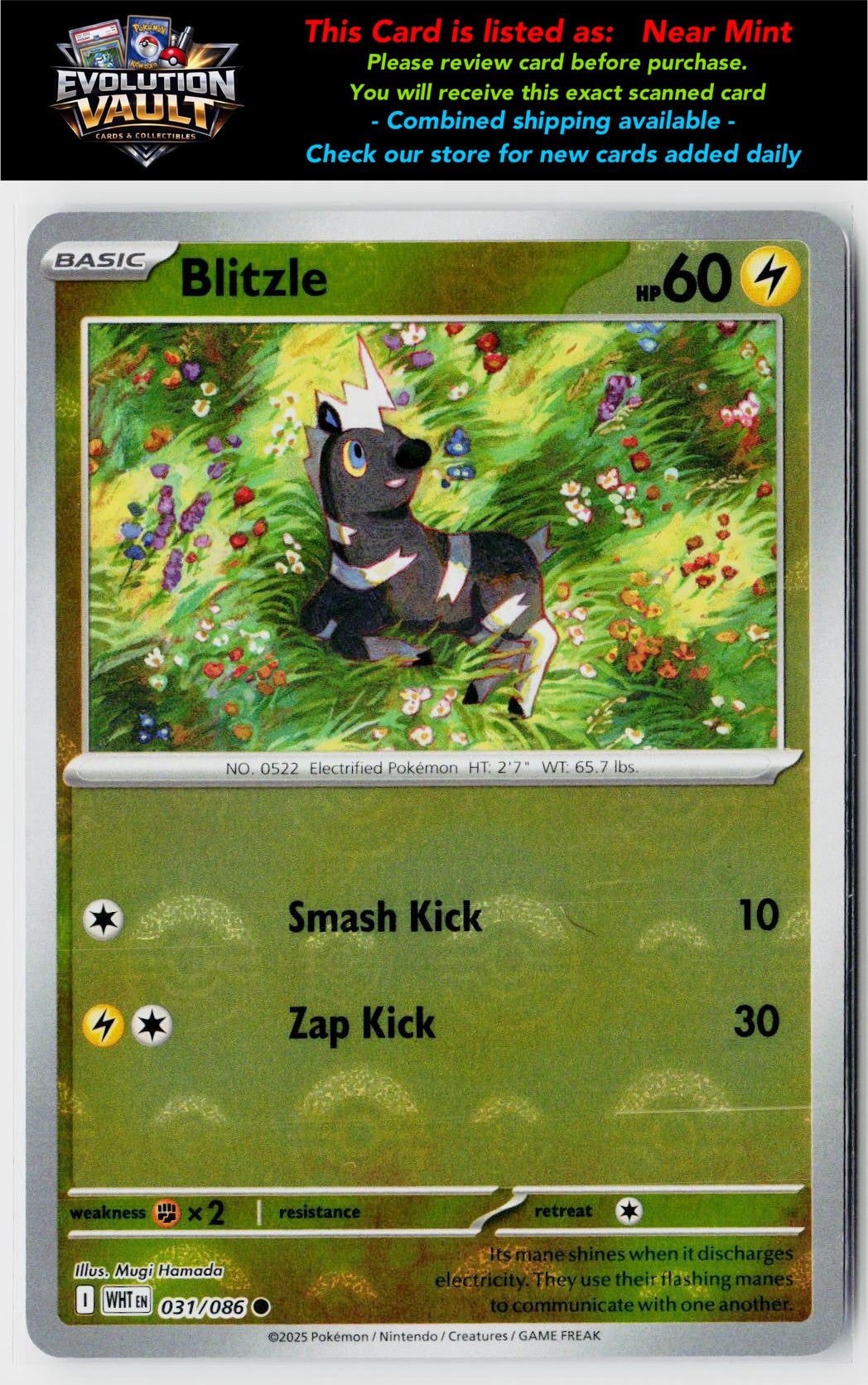SV: White Flare #031/086 Blitzle (Poke Ball Pattern)