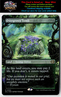 MTG Lorwyn Eclipsed #350 Overgrown Tomb (Borderless) (Foil)